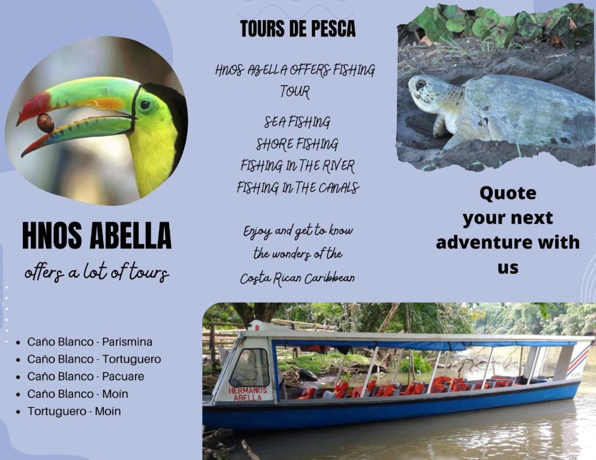 Sleep&Go! Cabina Cuadruple En Siquirres Centro - And Rafting Tour! Siqurres Da Alegria Luaran gambar